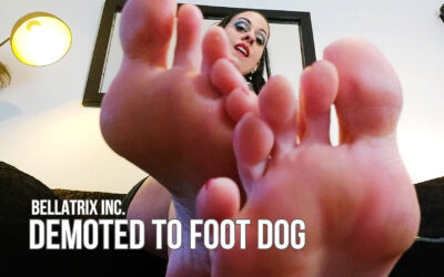 Bellatrix Inc:  Demoted to Foot Dog